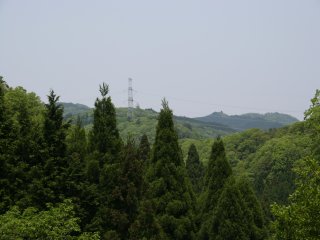 51