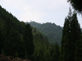 78